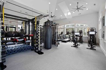 Free weights area